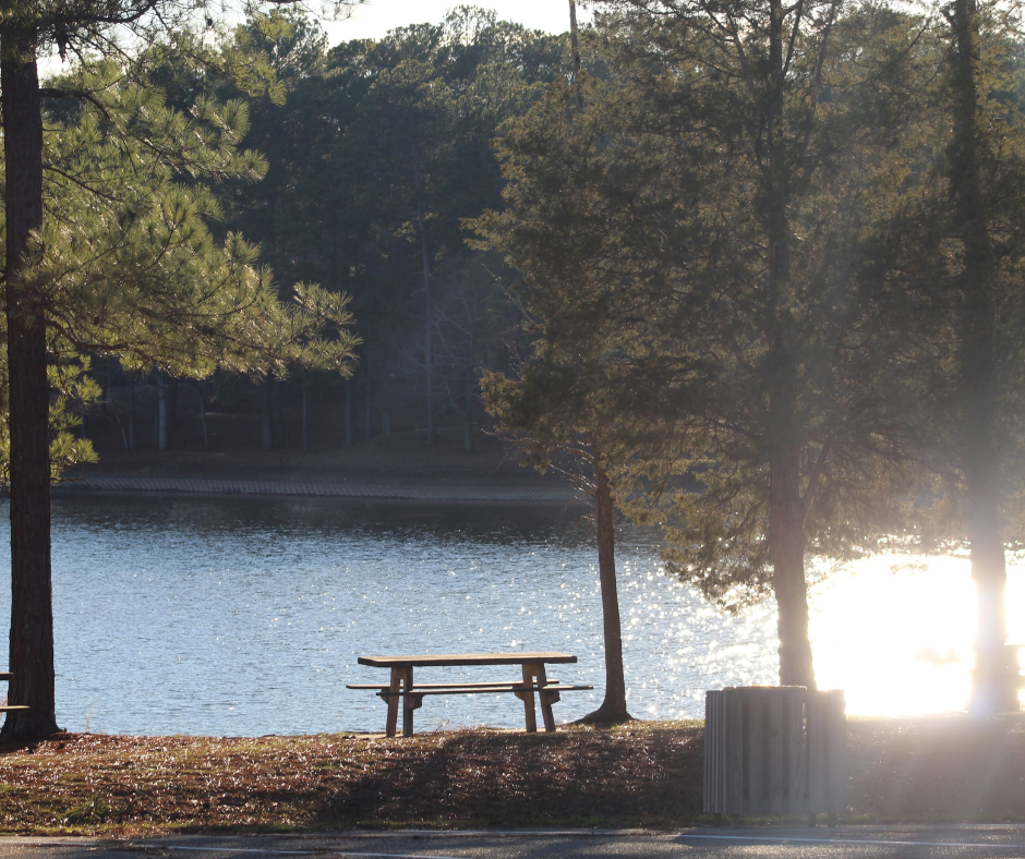 🧘♀️The Rise of Slow Living: Why Doing Less Might Help You Achieve More